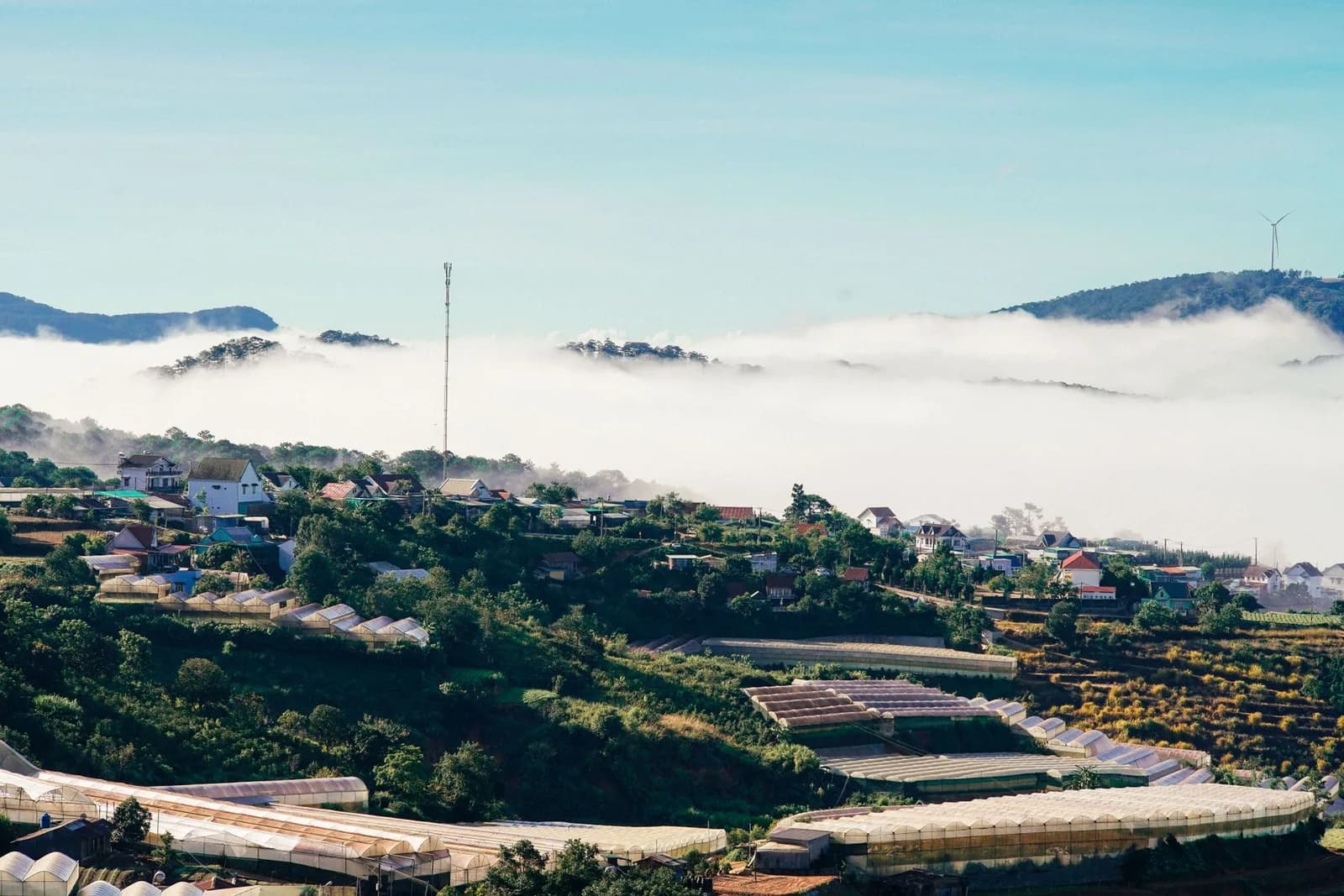 Homestay view đồi thông và homestay trong hẻm trung tâm Đà Lạt khác nhau ra sao