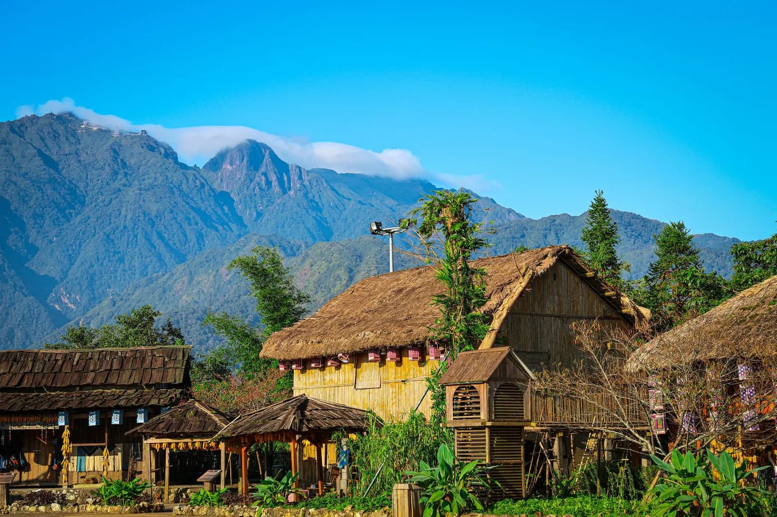 Lịch trình hai ngày ở homestay Tả Phìn cho nhóm bạn mê chụp ảnh