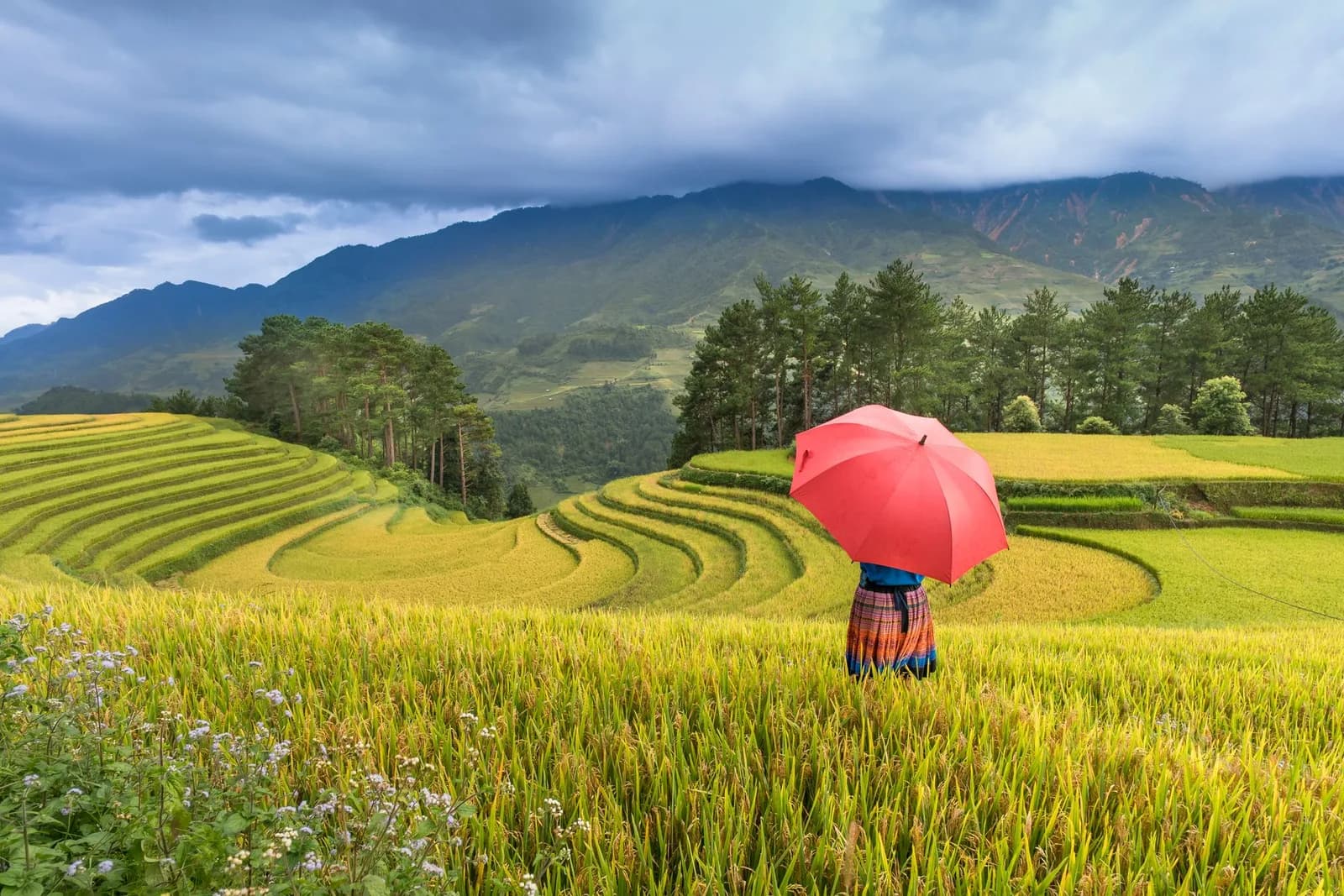 Lịch trình hai ngày khám phá homestay và bản làng quanh Sa Pa cho khách trẻ