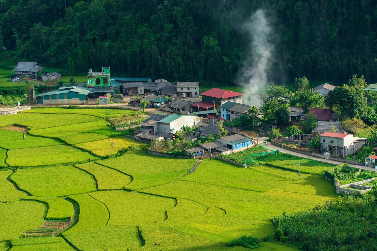 Homestay Sa Pa ở thung lũng Mường Hoa không thuê xe máy thì di chuyển thế nào