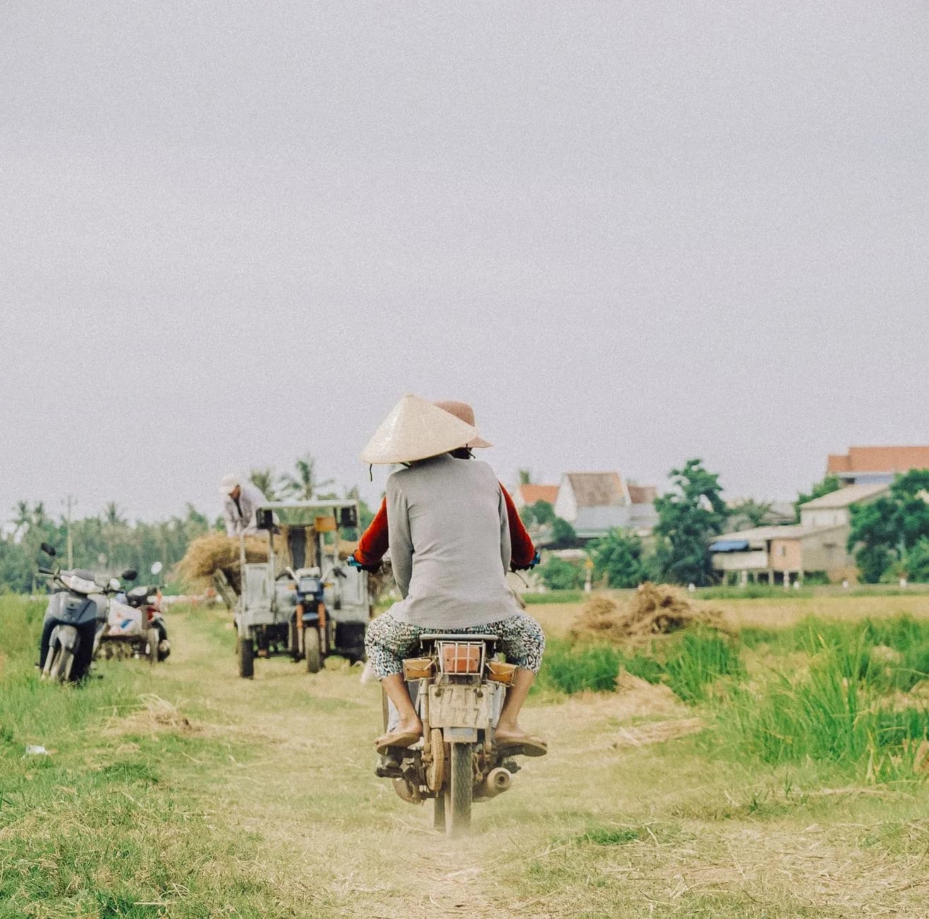 Đi Ninh Bình một mình nên thuê xe máy hay dùng taxi