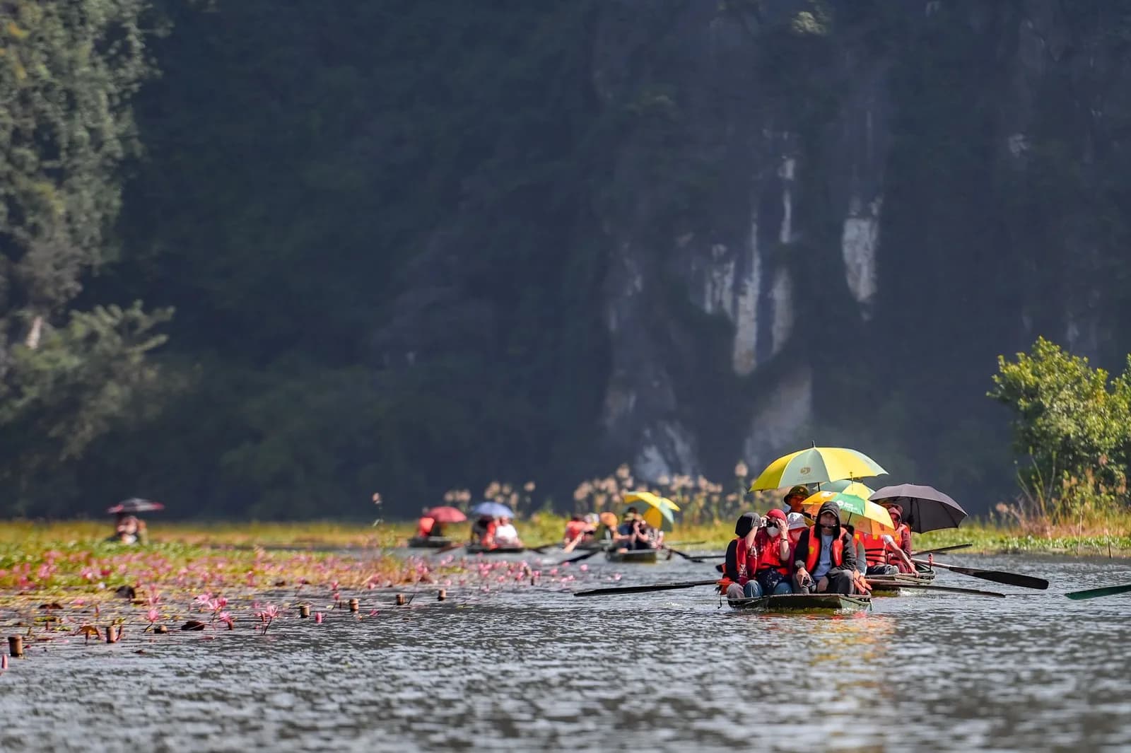 Solo Ninh Bình mùa lúa chín nên đi vào tuần nào