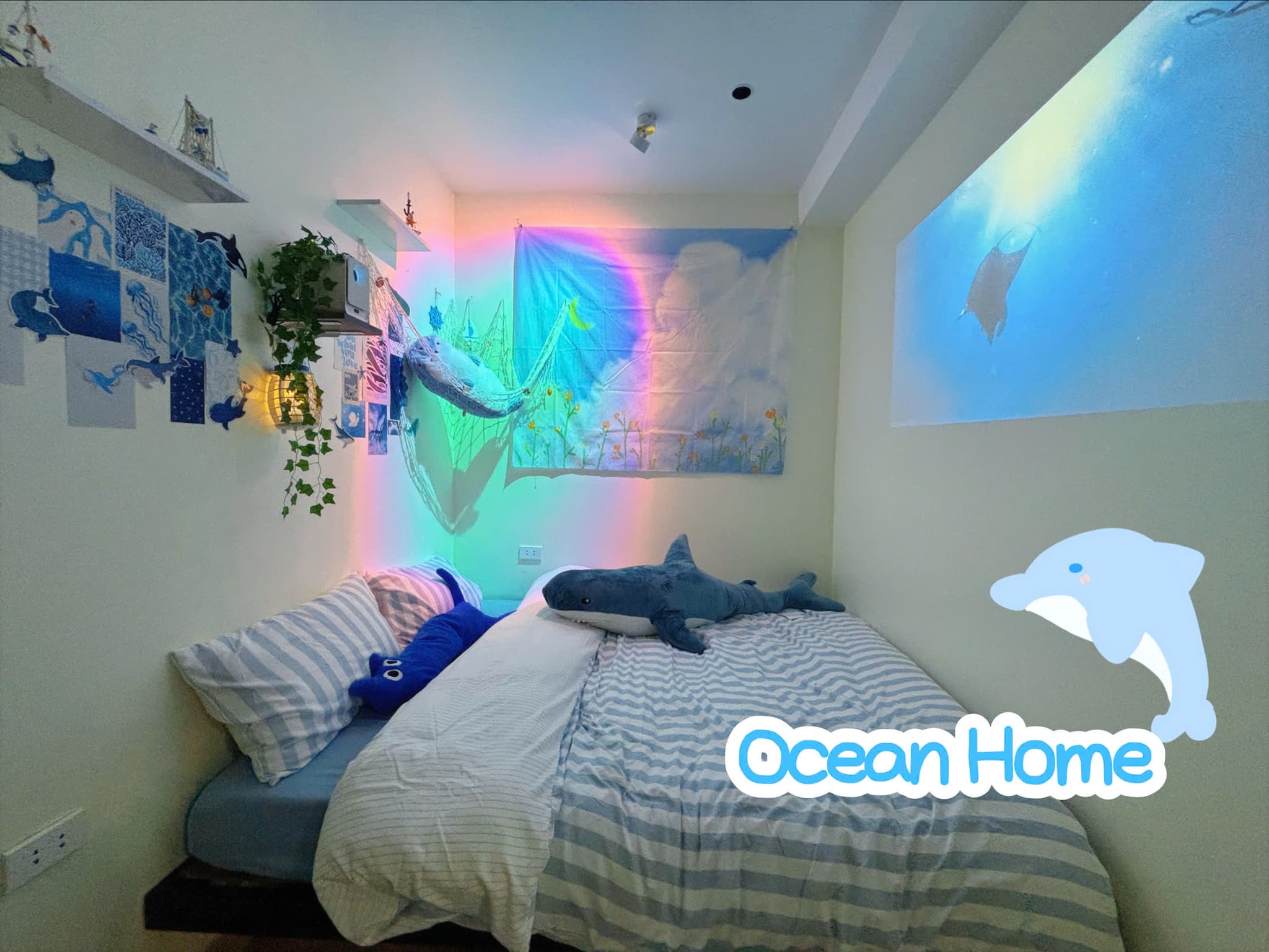 400 QH | Dolphin - 9
