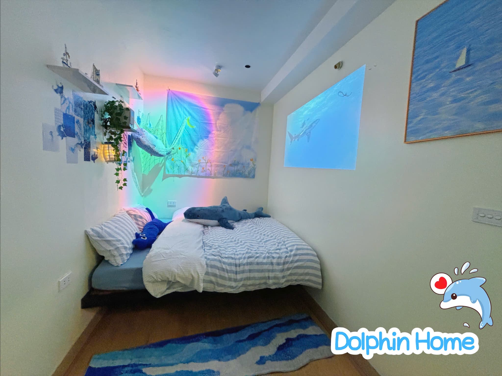 400 QH | Dolphin - 2