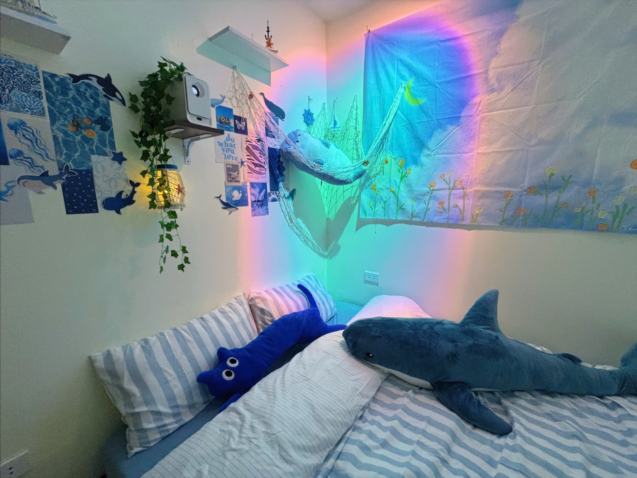 400 QH | Dolphin - 3