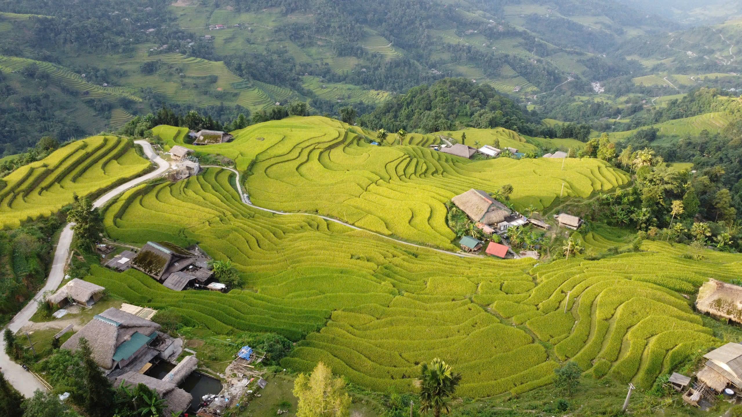 Cách lên lịch trình và kinh nghiệm du lịch Hà Giang 2026 cực chi tiết