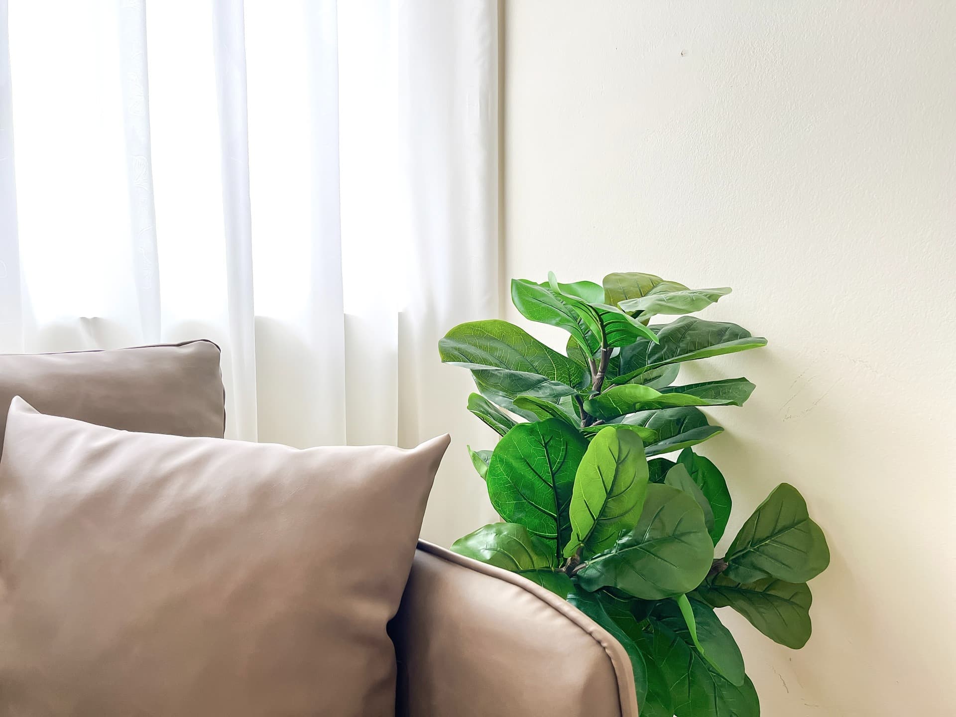 Amazing 501AVTP - 21